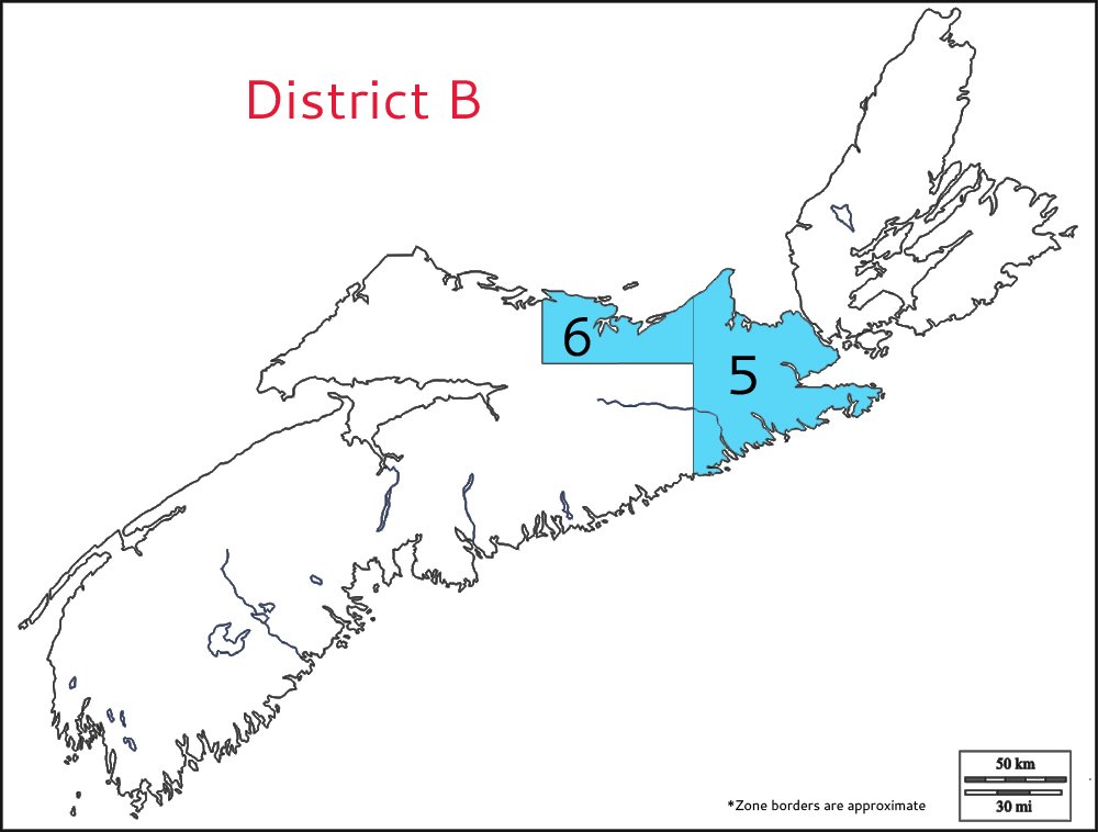 district b