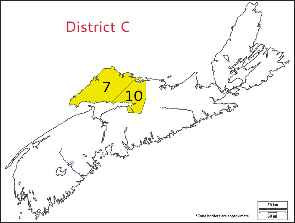 district c