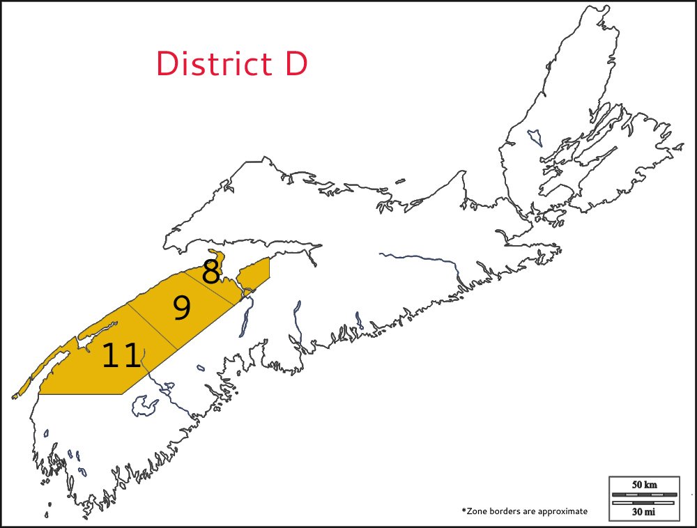 district d