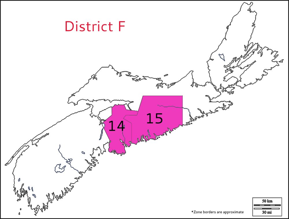 district f