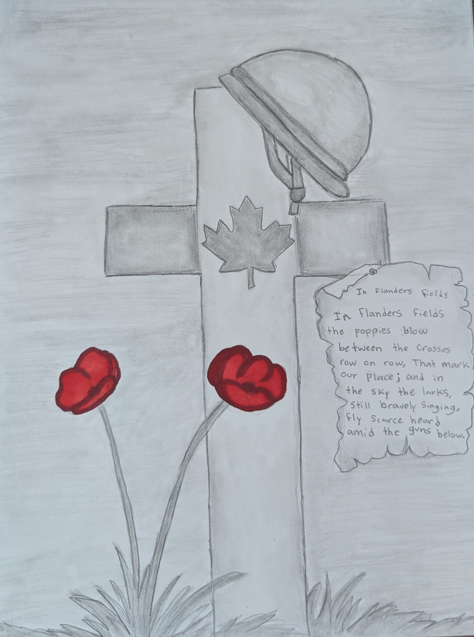 Bridgitte Shepphard 2nd Place Colour Poster Intermediate Br 074 Dr. C.B. Lumsden